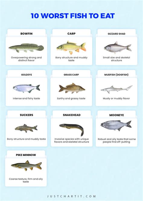 fish calories|Best and Worst Fish for Your Health .